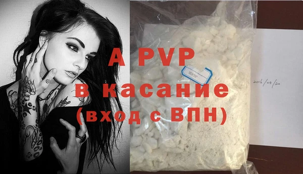 гидра Аркадак