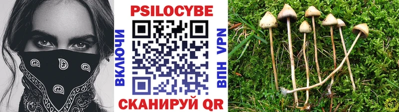 Галлюциногенные грибы GOLDEN TEACHER  цены наркотик  Нолинск 
