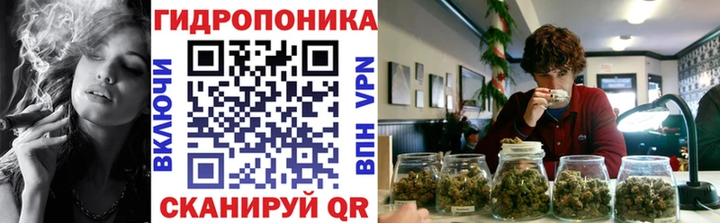Марихуана OG Kush  Нолинск 